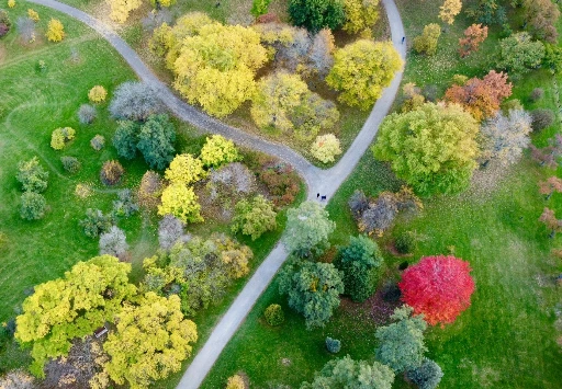Vue aérienne d’un parc arboré illustrant l’entretien des espaces verts et la gestion des végétaux